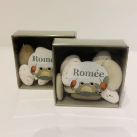 Romée - Superleuke Doopsuikerset met Grappige Kikker (25st)