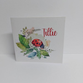 Tillie - Fris geboortekaartje met schattig lieveheersbeestje