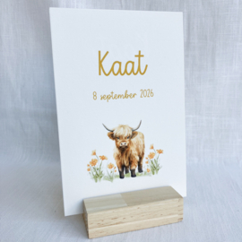 Doopsuikerset Kaat - Vrolijke set met Highlander Koe (60st)