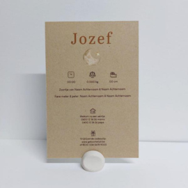 Jozef - Warme geboortekaart met leeuwtje, maan en sterren