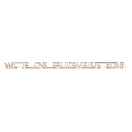 Wensbuisje - Wil je ons bruidsmeisje zijn?