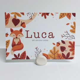 Luca