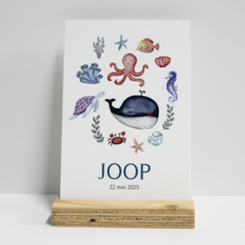 Joop