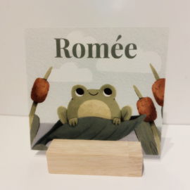 Romée - Superleuke Doopsuikerset met Grappige Kikker (25st)