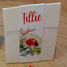 Tillie - Doopsuiker set met Felrood Lieveheersbeestje (20st)