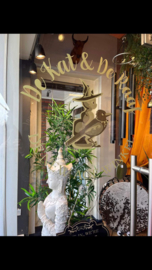 New Age winkel de Kat & de Raaf