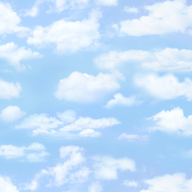 Wolkenlucht Lichtblauw (Landscape)