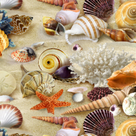 schelpen  (packed shells sand)