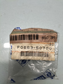 Bevestigingsclip wit Nissan F0663-50J00 Origineel.