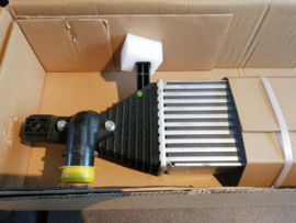 Charge air cooler R9M Nissan Qashqai J10/ JJ10 14461-BB50A New.