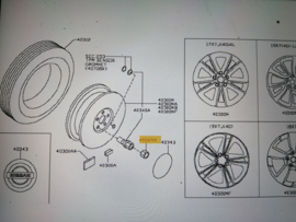 Afdekdop Wielbout Nissan Qashqai J11 40265-4EA1A Origineel.