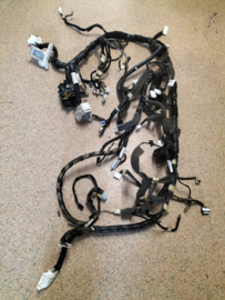 Harness-main Nissan Micra K14 24010-5FB1A Used part.