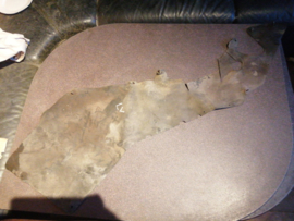 Cover-splash, hoodledge left-hand Nissan Terrano2 R20 64837-0X801 Used part.