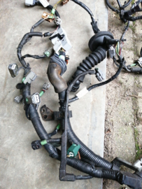 ECU-kabelboom Nissan Almera N16 QG18DE 24011-BM610