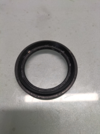 Seal-grease, knuckle flange Nissan Primera P12 40579-AV600 Original.