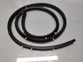 Weatherstrip Nissan 80830-JD00C Original