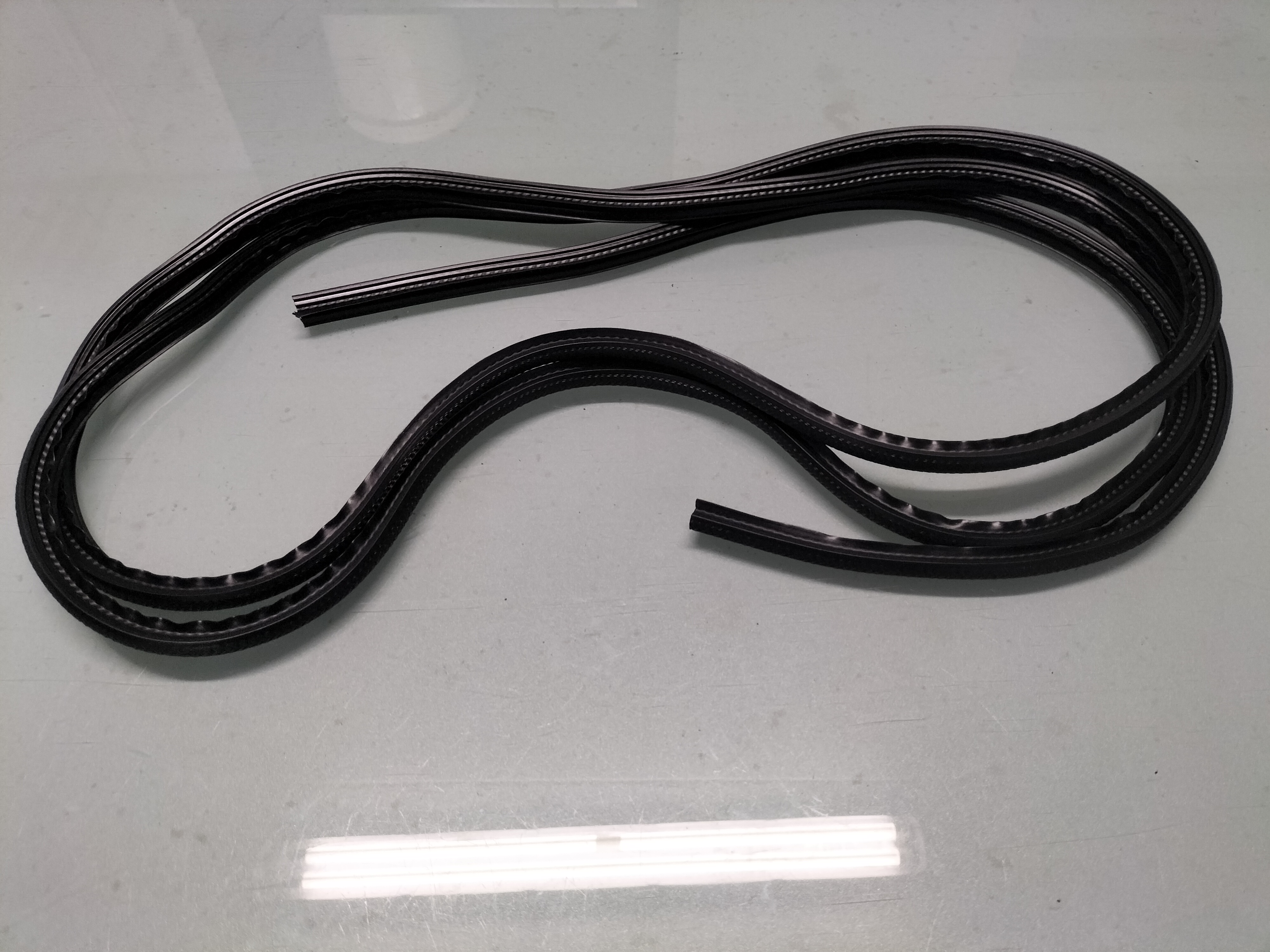 Raamrubber Nissan 90381-21A00 Origineel