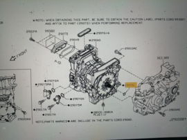 O-ring tractiemotor Nissan Leaf ZE0 290Y6-3NA1A