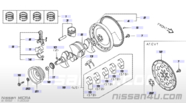 Krukaspoelie CG10DE Nissan Micra 12303-4F100