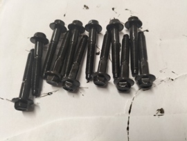Set montagebouten nokkenasbruggen HR09DET Nissan Micra K14 (20250405) Gebruikt