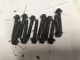 Set montagebouten nokkenasbruggen HR09DET Nissan Micra K14 (20250405) Gebruikt