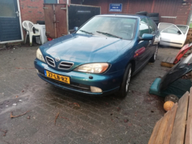 Nissan Primera P11 SR20DE 2002. New arrivals as of January 4, 2024.