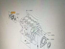 Voorste krukaskeerring R9M-motor Nissan 13510-00Q0A