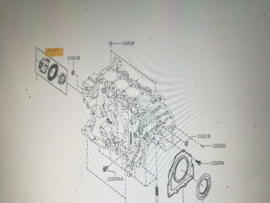 Voorste krukaskeerring R9M-motor Nissan 13510-00Q0A