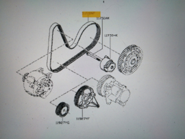 Multiriem 6PK1127 K9K Nissan Kubistar X76 11720-00Q1K (8200821816) Origineel.