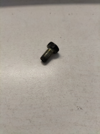Montagebout M5,5 x 12 Waterpomppoelie Datsun 08120-61262 Gebruikt.