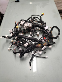 Hoofdkabelboom interieur Nissan Primera P12 24010-BA215 Gebruikt.