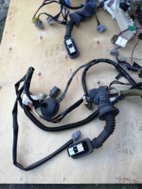 Interieurkabelboom Nissan Almera N15 24010-1N562