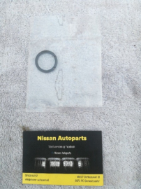 Pakkingset motorblok Nissan R9M 10101-00Q1D
