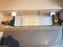 Charge air cooler R9M Nissan Qashqai J10/ JJ10 14461-BB50A New.