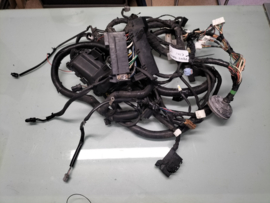 Kabelboom Motorruimte Nissan Primera P12 24012-BA222 Gebruikt.