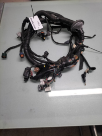 Kabelboom Nissan Primera P12 24011-BA203 Gebruikt.