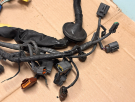 ECU kabelboom CG10DE / CG13DE Nissan Micra K11 24011-5F701 Gebruikt.