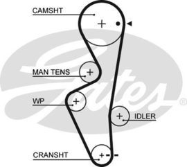 Belt-timing CD17 Nissan Sunny Wagon Y10 13028-59Y25 New.