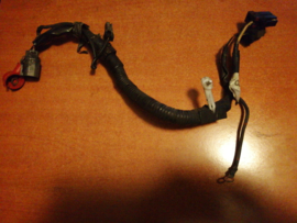 Kabelboom dynamo Nissan Sunny N14 24076-63C00