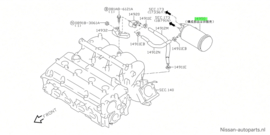 Evaporative emission canister Nissan J10 14950-6N208 (14950-6N201 ) Used part.