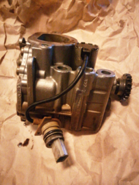 Oliepomp Nissan 15000-00QAB C13/ F15/ F16/ J11/ J12/ K14/ T32 Gebruikt (150002257R)