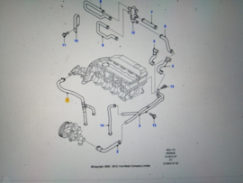 Koelwaterslang Ford Transit 4436448 (2C11-18K579-FA)