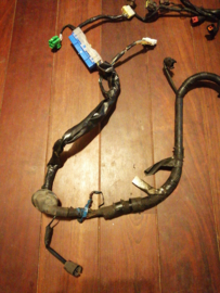 ECU-kabelboom Nissan Sunny N14 24011-57C15 GA14DE / GA16DE