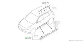 Moulding-front door, right-hand Nissan Qashqai J10 80870-1YB0A Original.
