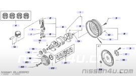 Plate-engine, rear CA-engine Nissan 30411-D4201 B12/ M11/ N13/ T12/T72/ U11 Used part.