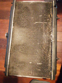Radiator QG15/QG16/QG18 Nissan 21410-BM400 N16/P12