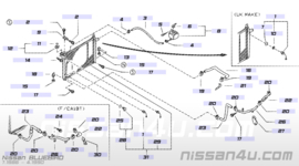 Hose-radiator lower, rear CA20E/ CA20S Nissan Bluebird T12/ T72/ U11 21531-D1602 Used part.