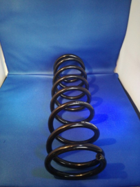 Chassisveer Ford Focus 1064135