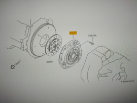 Drukgroep 217mm GA16DE Nissan 30210-71N02 W10/ Y10 Origineel.