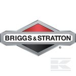 Luchtfilter Briggs & Stratton 697029.